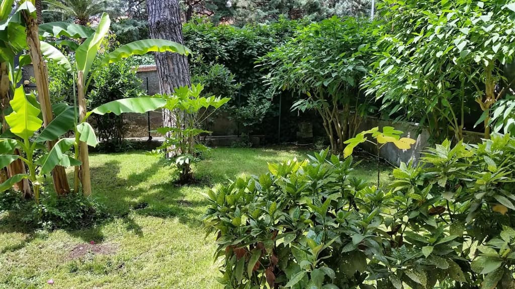 Il Giardino di Giulia 2 - photo 22