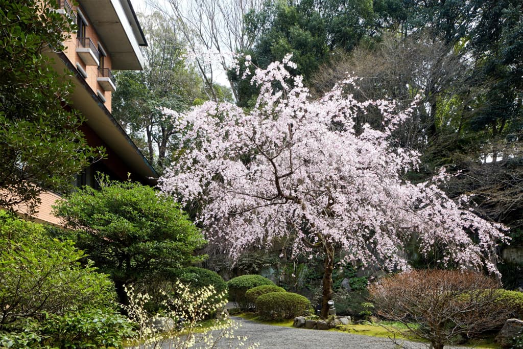 Hyatt Regency Kyoto - photo 26