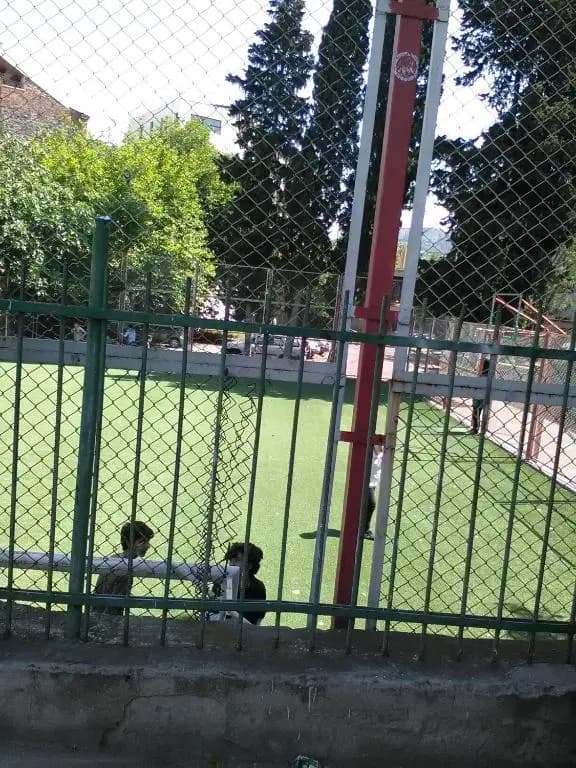Tbilisi Georgia - photo 23