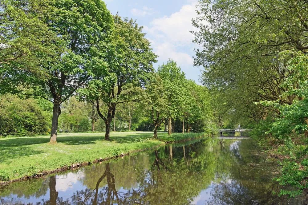 Htel Serviced Apartments Amsterdam (Pet-friendly) - photo 12