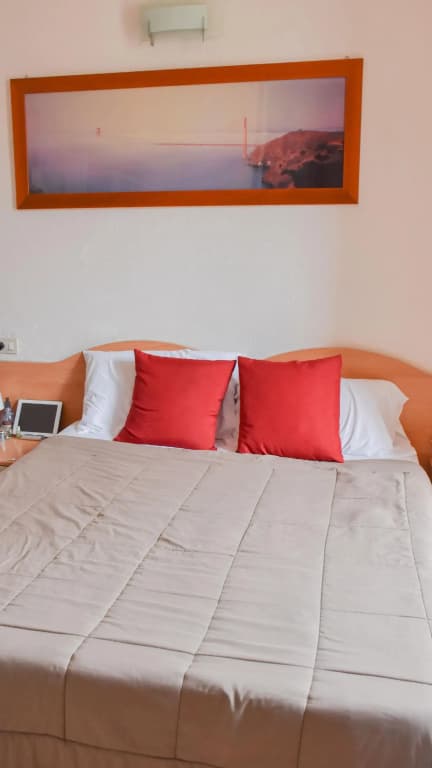 Hotel Alba - photo 18