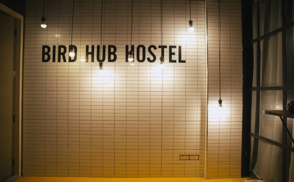 The Bird Hub Hostel - photo 10