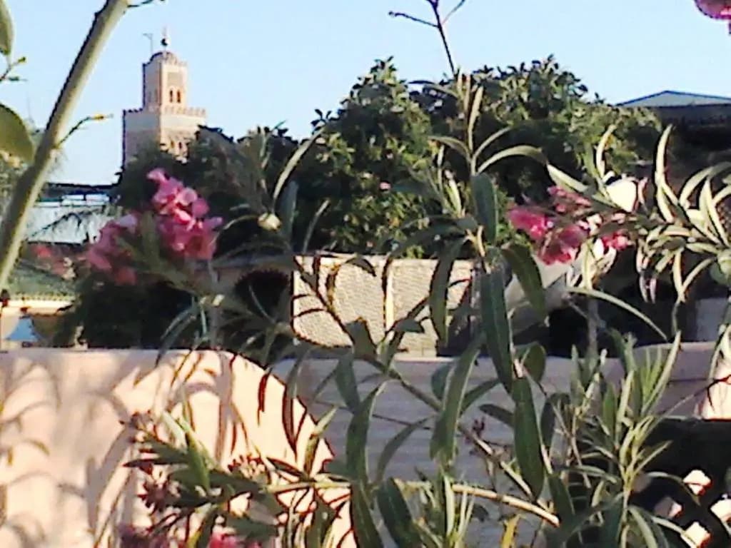 Riad Aloes - photo 20