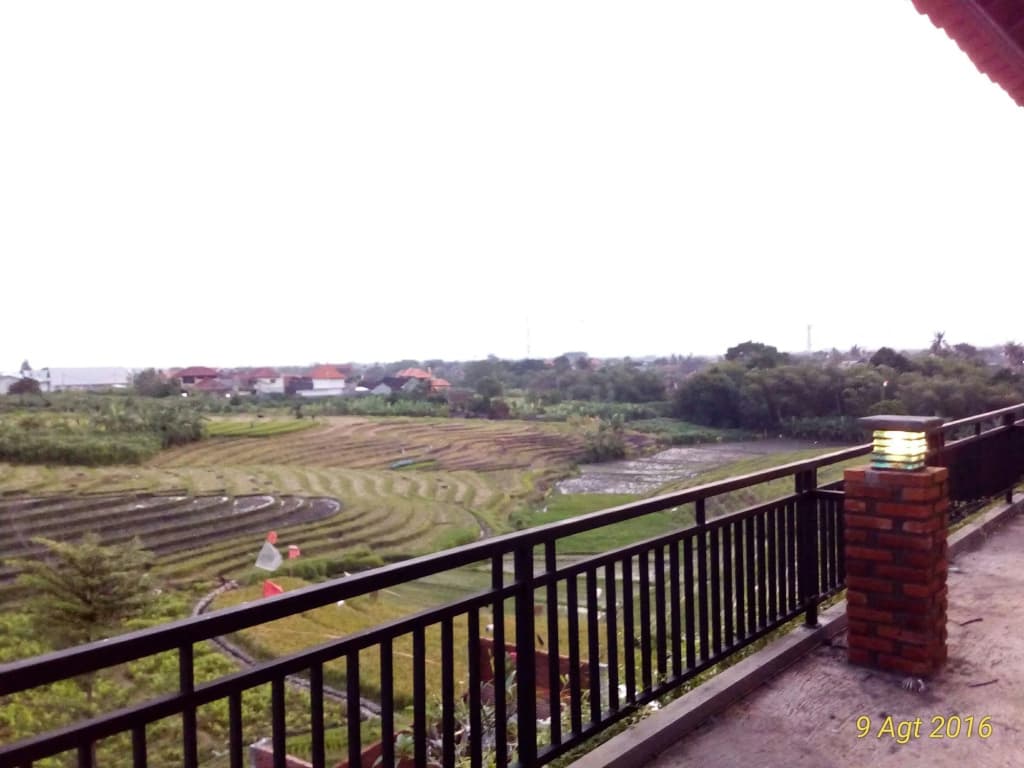 Grandpa Guest House - photo 13
