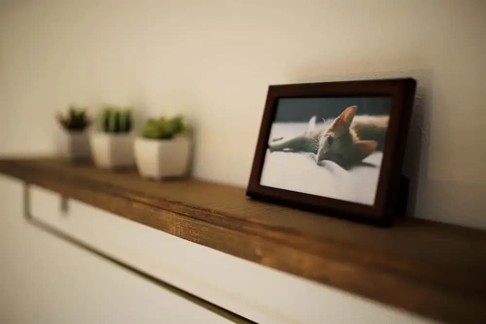 Satoie House - photo 36