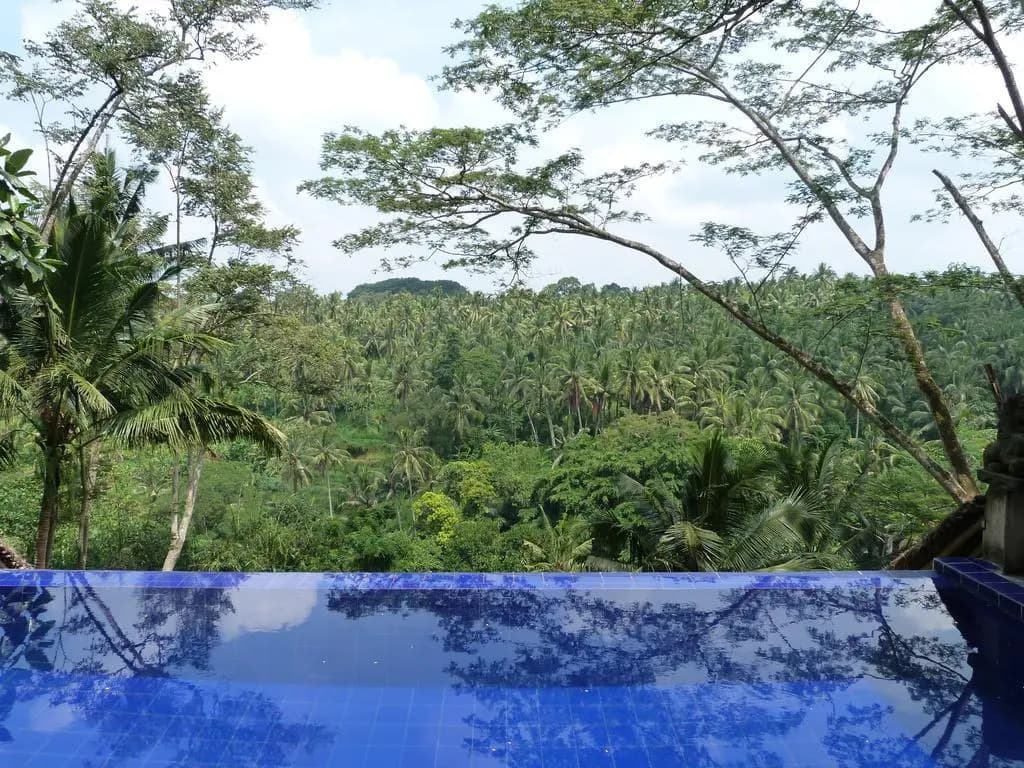 Green Spirit Villa - photo 9