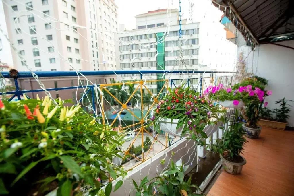 Halong Party Hotel - photo 5