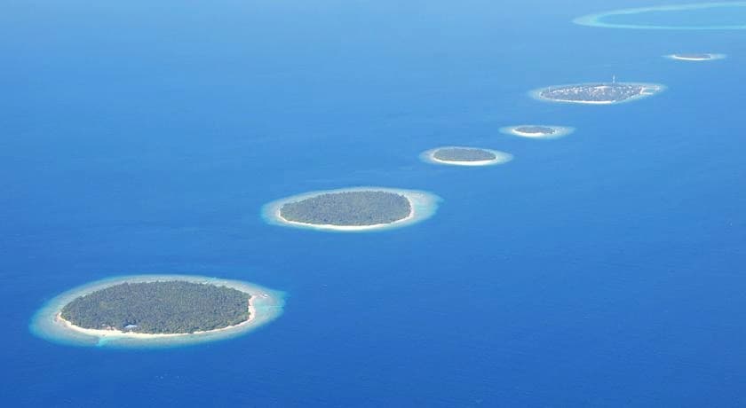 Dacha Maldives Guest House - photo 6