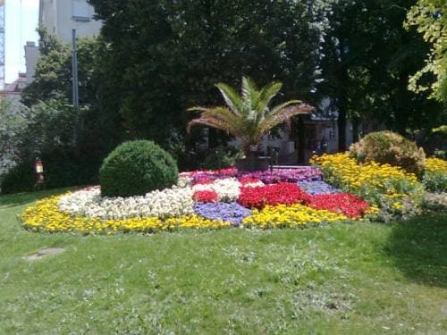 Vienna Star Apartments Reumannplatz - photo 12