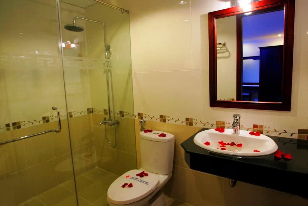 Nice Swan Hotel - photo 8
