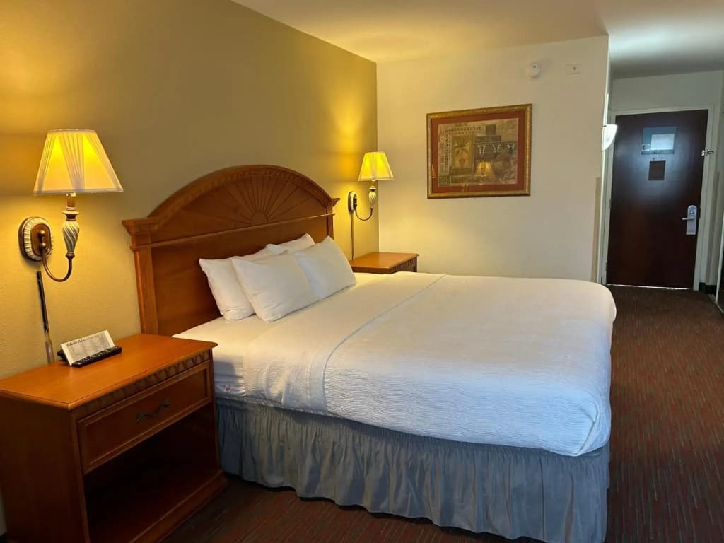 Orlando Palms Hotel - photo 3