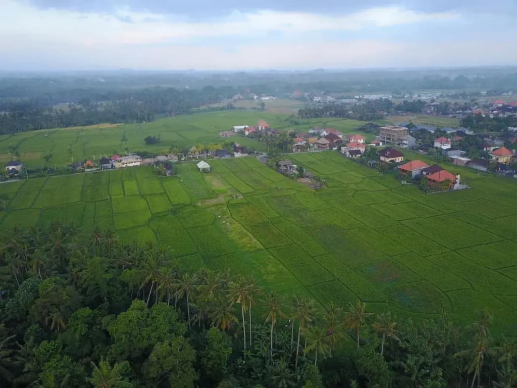 Pangkung Sari - photo 12