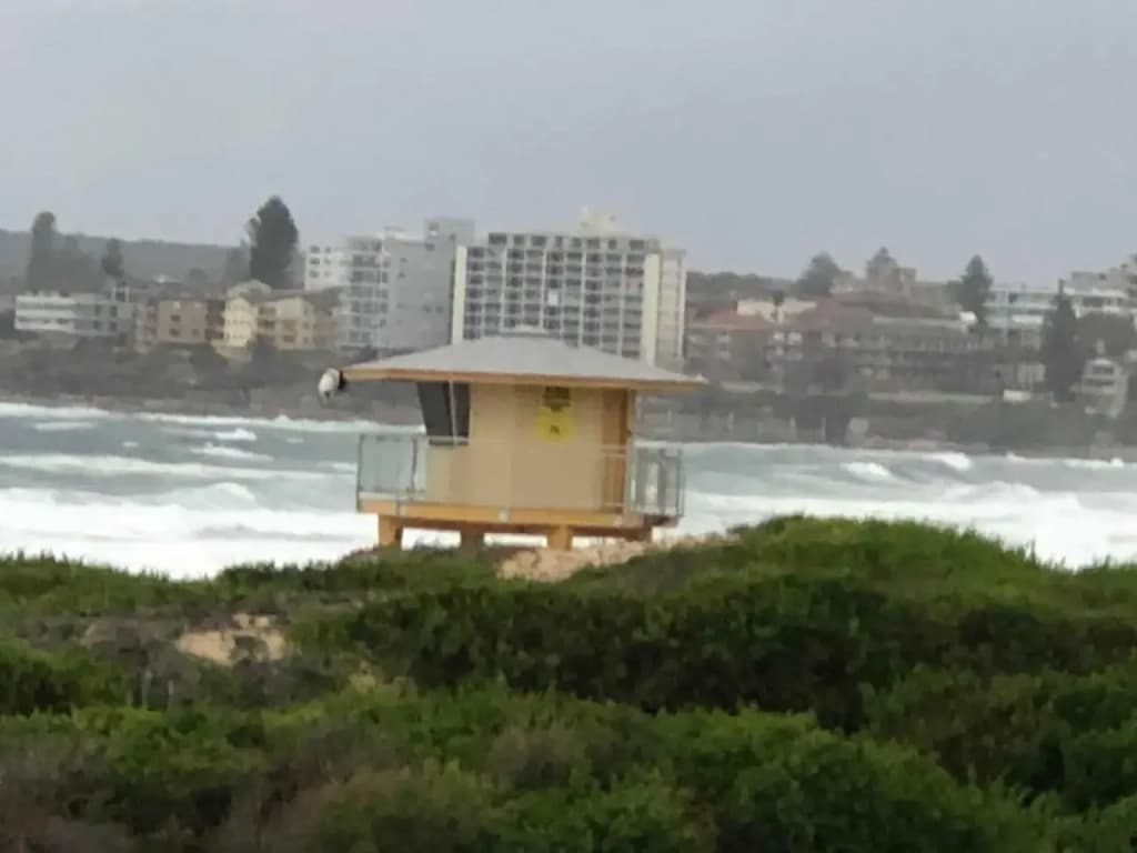 Beachfront Living Cronulla - photo 9