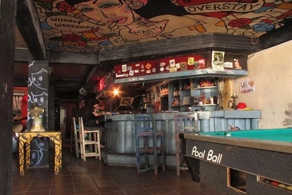 The Overstay Art Hostel - photo 15