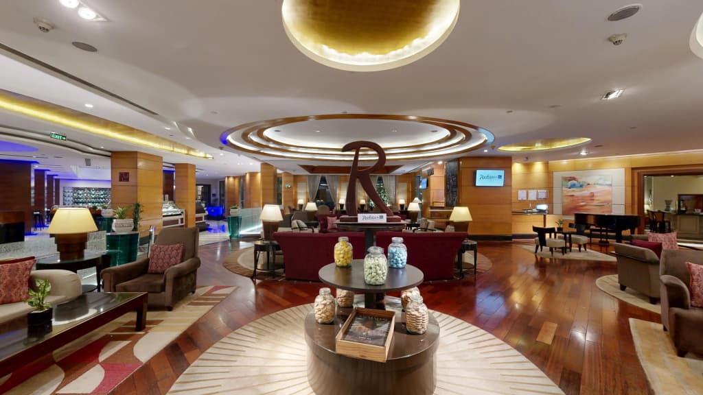 Radisson Blu Plaza Delhi Airport - photo 46