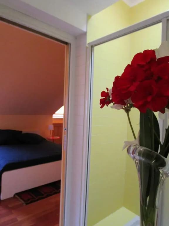 Teodora B&B - photo 4