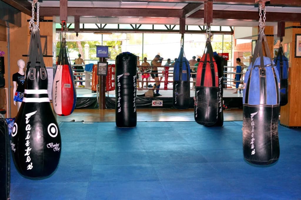 Fairtex Express - photo 15