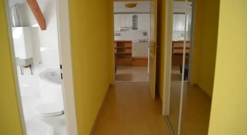 Karl in apartment - photo 5