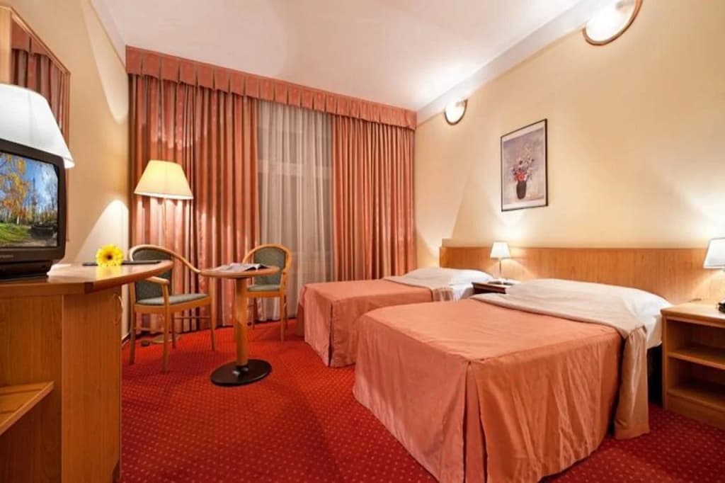 Hotel Aron - photo 7