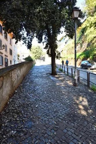 The Roman Residence - photo 21