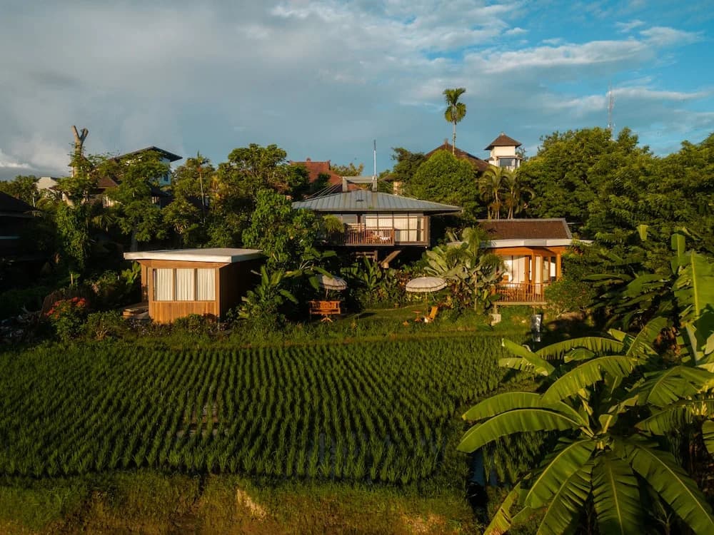 Grün Ubud - photo 15