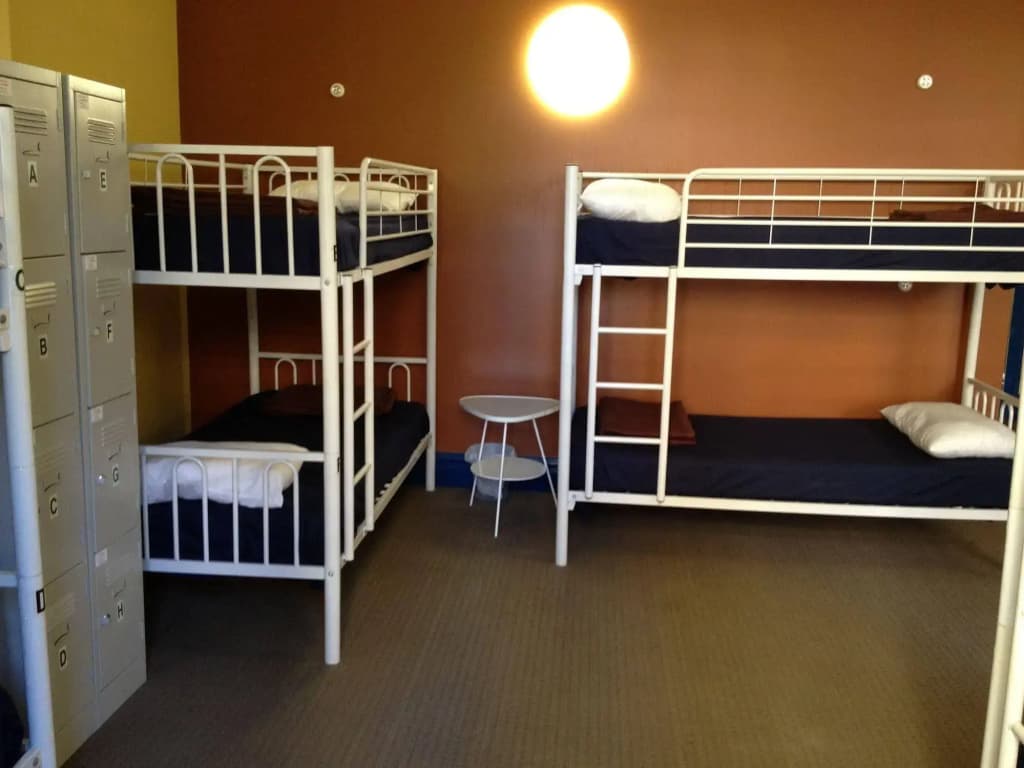 Tiger Hostel Sydney - photo 4