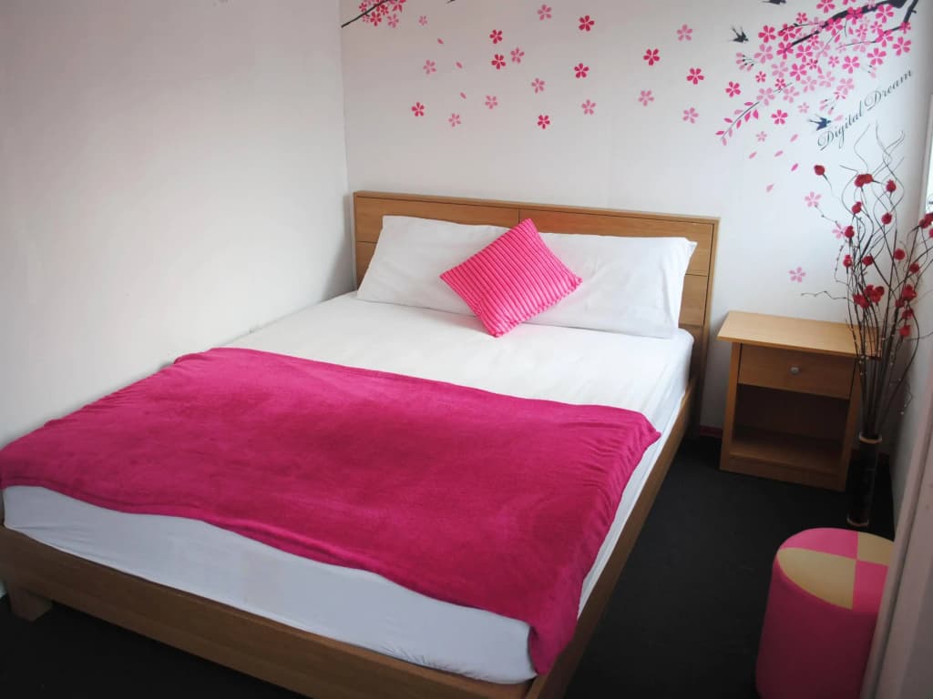 Pink Guest House - photo 4
