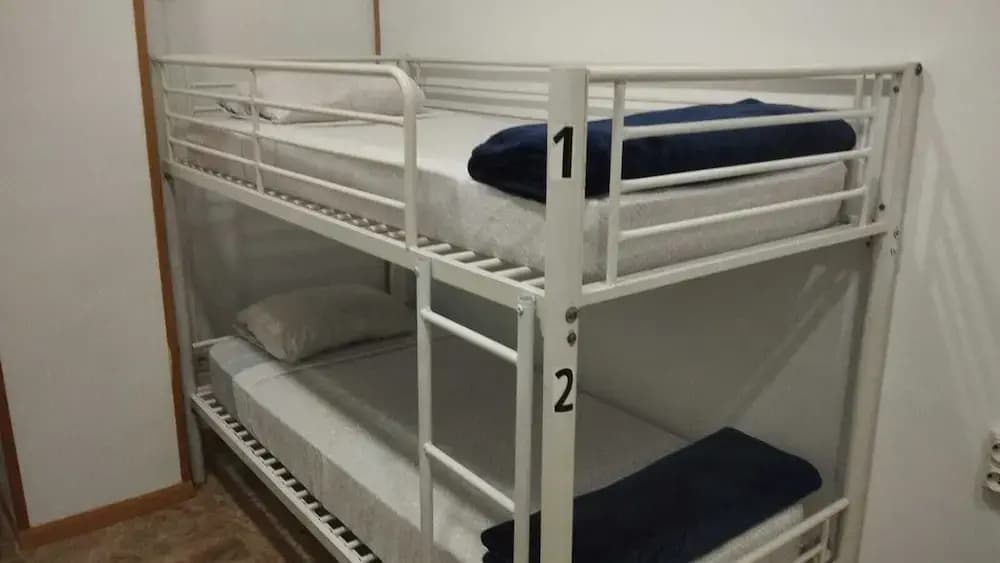 Hostel Travelers Inn - photo 4