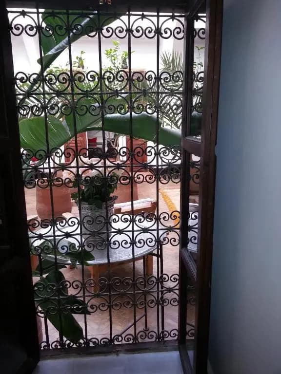 Riad Azza - photo 7