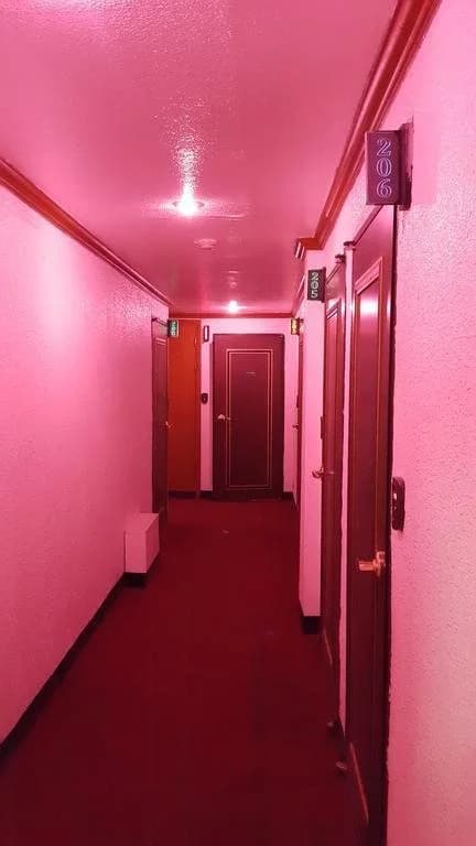 Blue Motel - photo 9