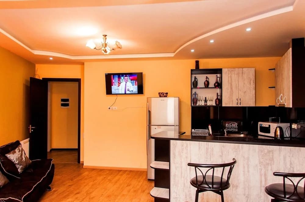 Apartment on Marjanishvili Str. - photo 8