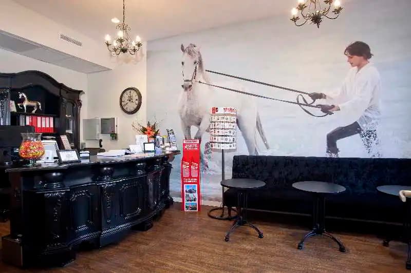 Hotel Iron Horse - photo 2