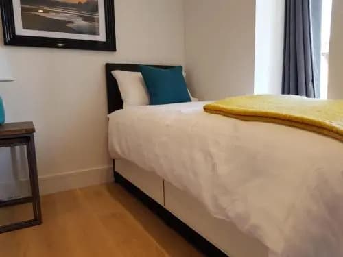 Stunning Ealing Apartment - photo 30