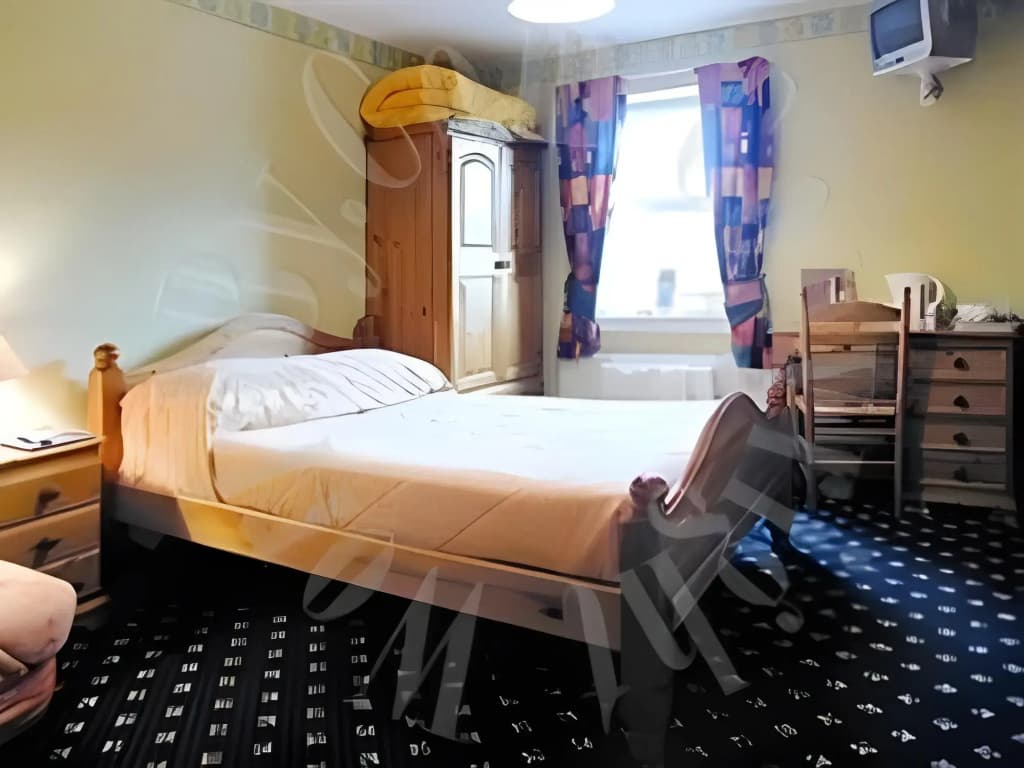 Twin Lions Hotel - photo 24