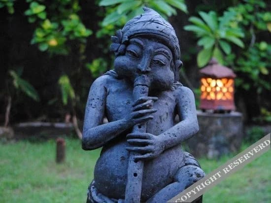 Villa Chandra - photo 15
