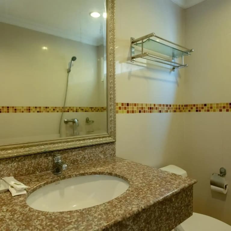 Ivory Palace Hotel - photo 42