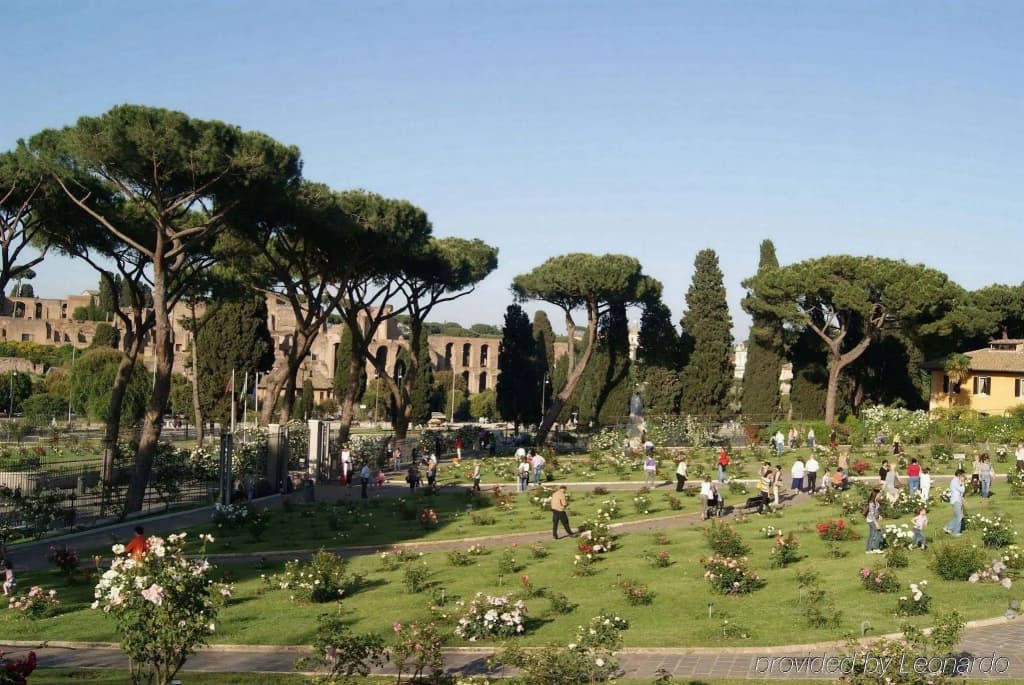 Hotel Delle Muse - photo 8