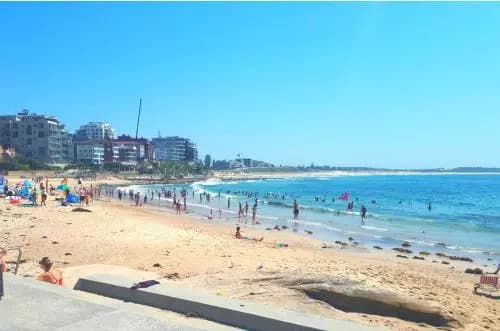 The Resort at Cronulla - photo 15