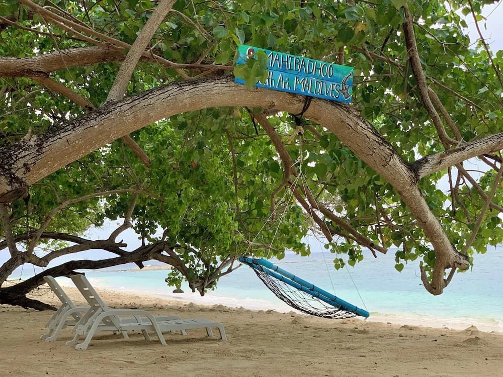Dhamana Beach - photo 11