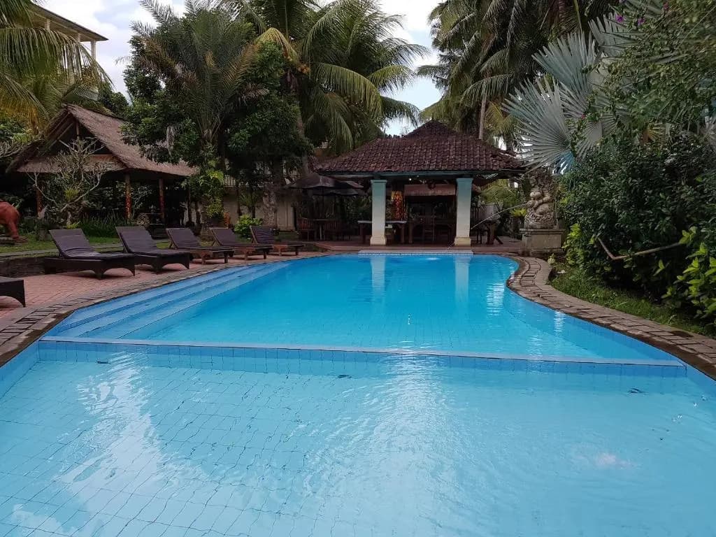 Panorama Hotel Ubud - photo 9