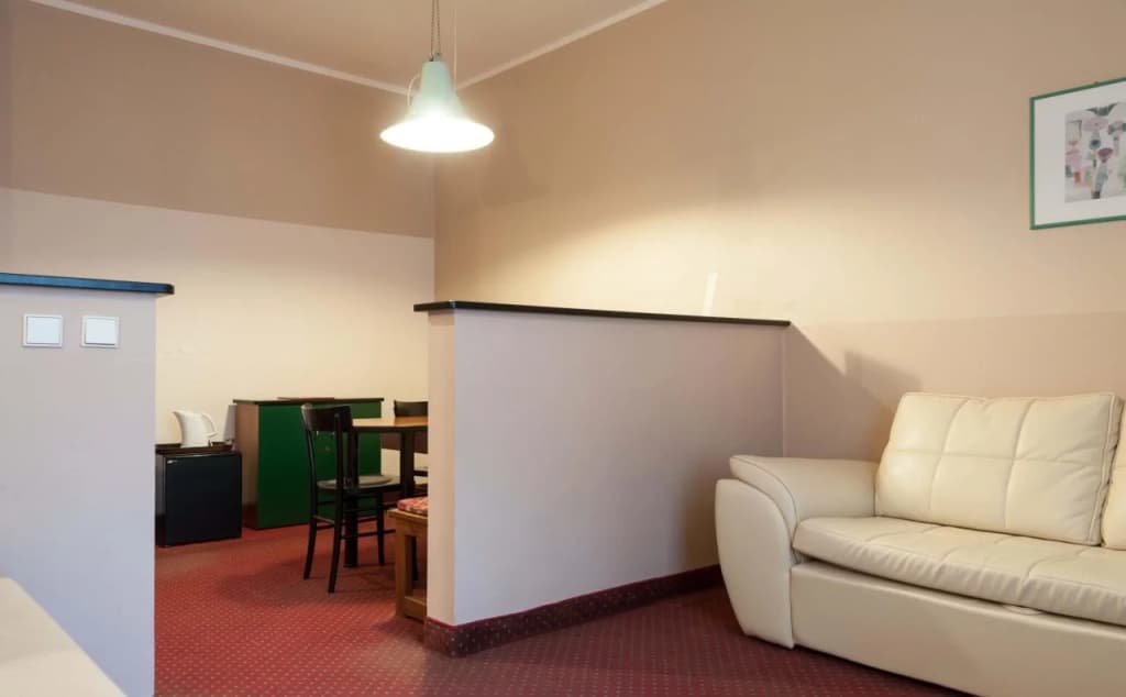 Hotel Mala Strana - photo 14