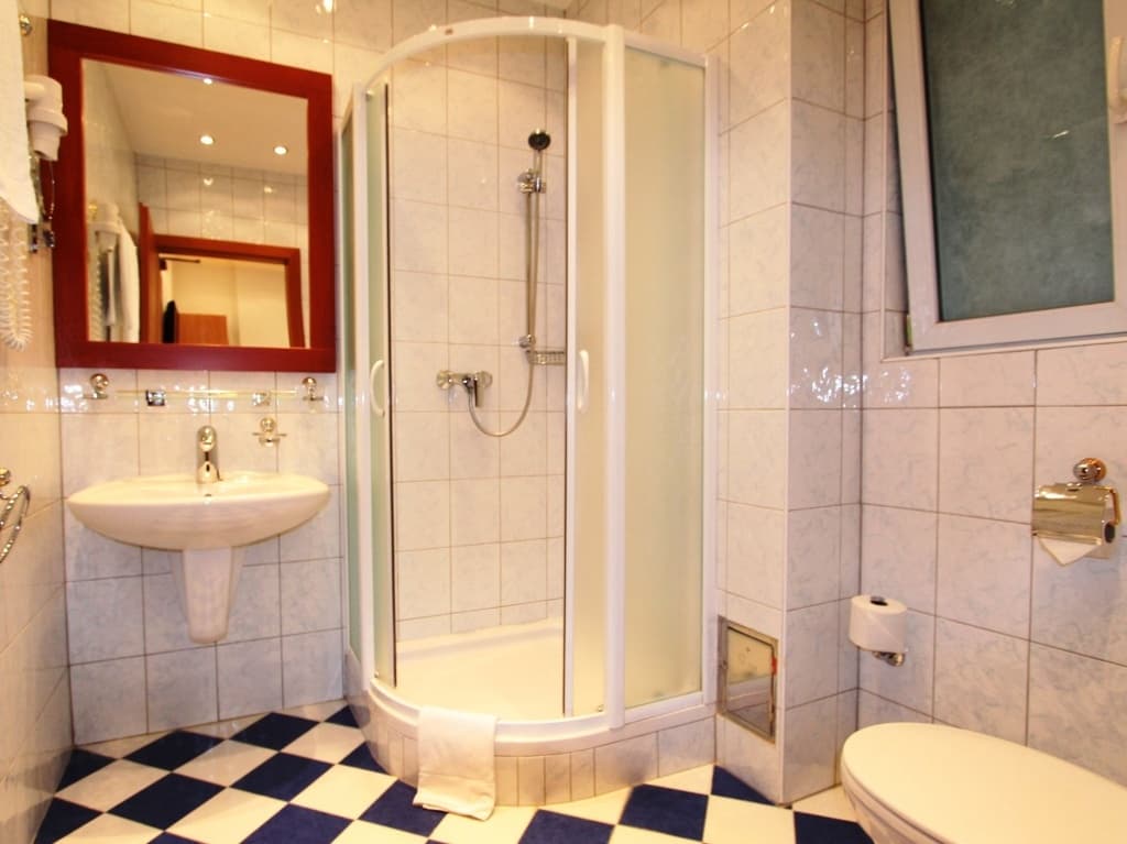 Hotel Corvinus - photo 5