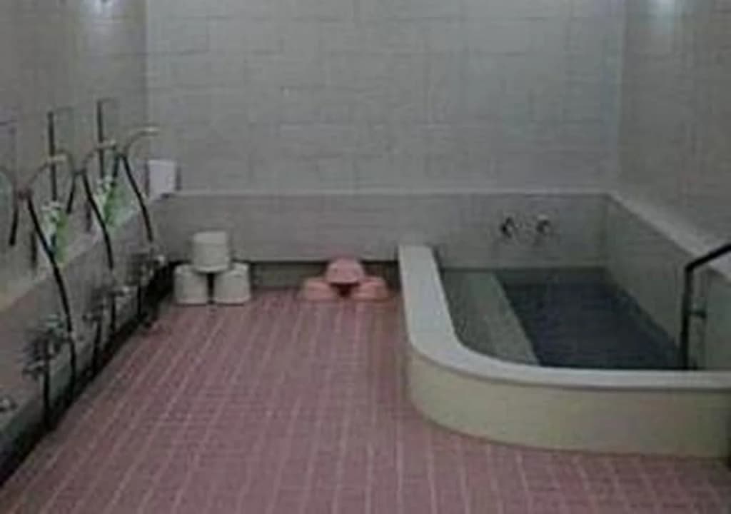 Ryokan Nihonkan Hotel - photo 11