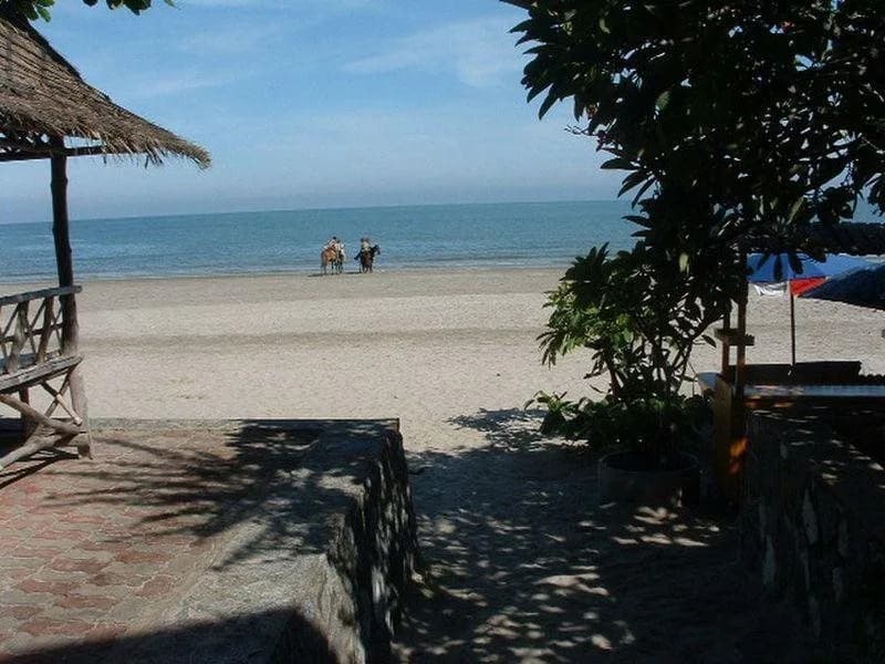 SM Beach Side Place - photo 16