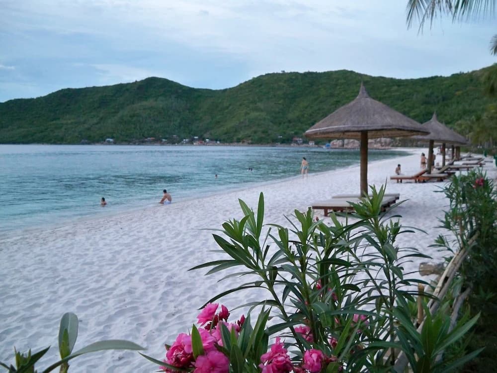 Sunshine Villa - photo 14