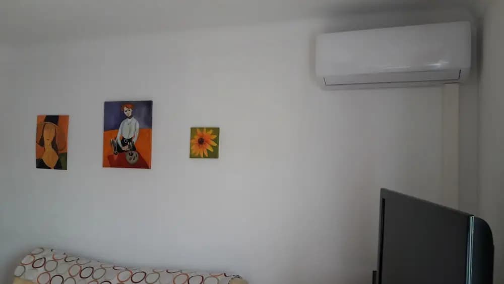Grand Appartement Durandi Dernier Etage - photo 6