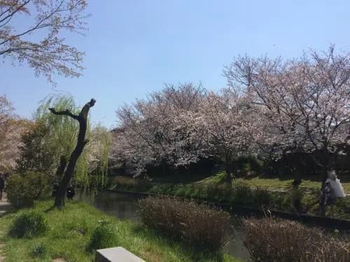 Suzume-An - photo 3