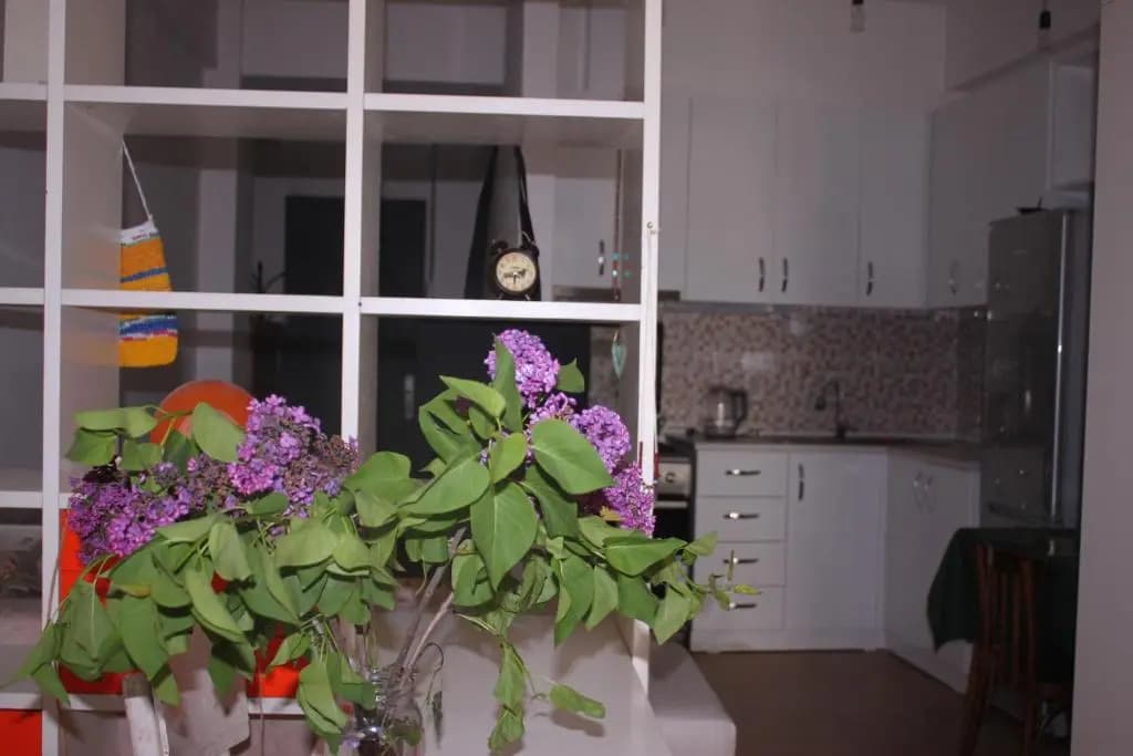 cosy studio appartment - photo 8