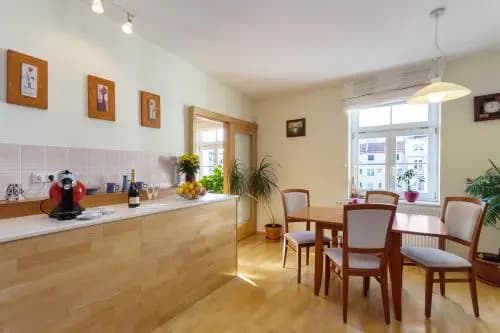 Perunova Apartments - photo 13