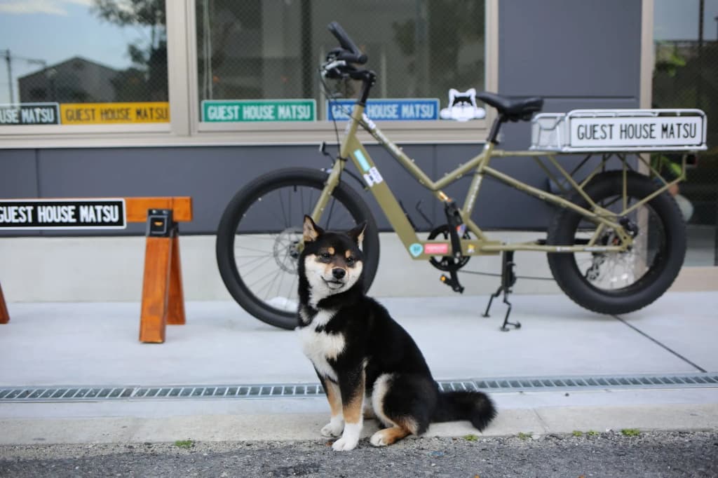 Guest House Matsu - Hostel - photo 19